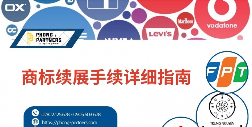 商标续展手续详细指南
