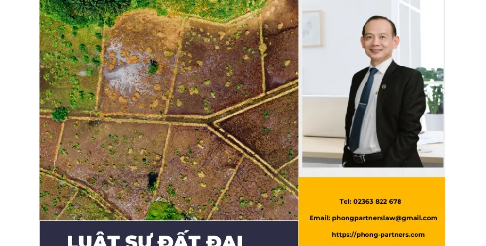 LUẬT SƯ ĐẤT ĐAI TẠI BÌNH ĐỊNH