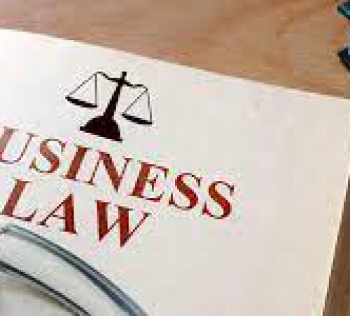 WHAT IS A BUSINESS LAWYER? WHY SHOULD YOU HIRE A BUSINESS LAWYER?