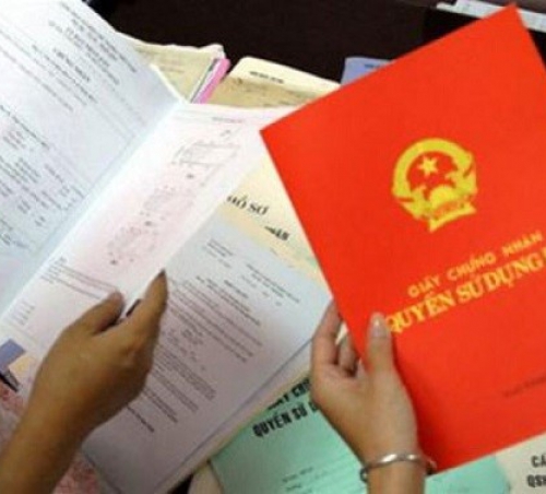 ĐIỀU KIỆN VÀ THỦ TỤC CHUYỂN NHƯỢNG ĐẤT RỪNG (CHUYỂN NHƯỢNG QUYỀN SỬ DỤNG ĐẤT NÔNG NGHIỆP)