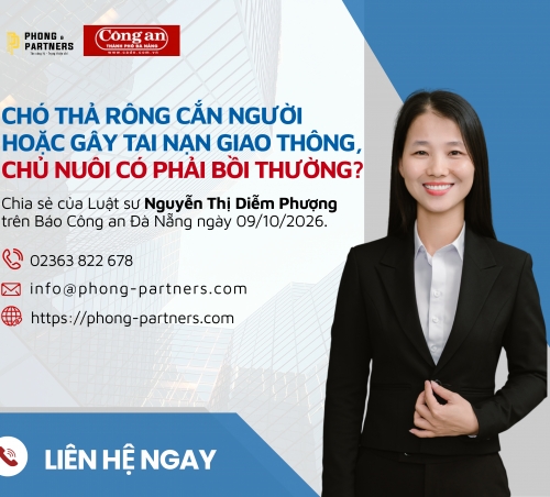 CHÓ THẢ RÔNG CẮN NGƯỜI HOẶC GÂY TAI NẠN GIAO THÔNG, CHỦ NUÔI CÓ PHẢI BỒI THƯỜNG?