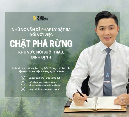 NHỮNG VẤN ĐỀ PHÁP LÝ ĐẶT RA ĐỐI VỚI VIỆC CHẶT PHÁ RỪNG KHU VỰC NÚI SUỐI TRẦU, BÌNH ĐỊNH